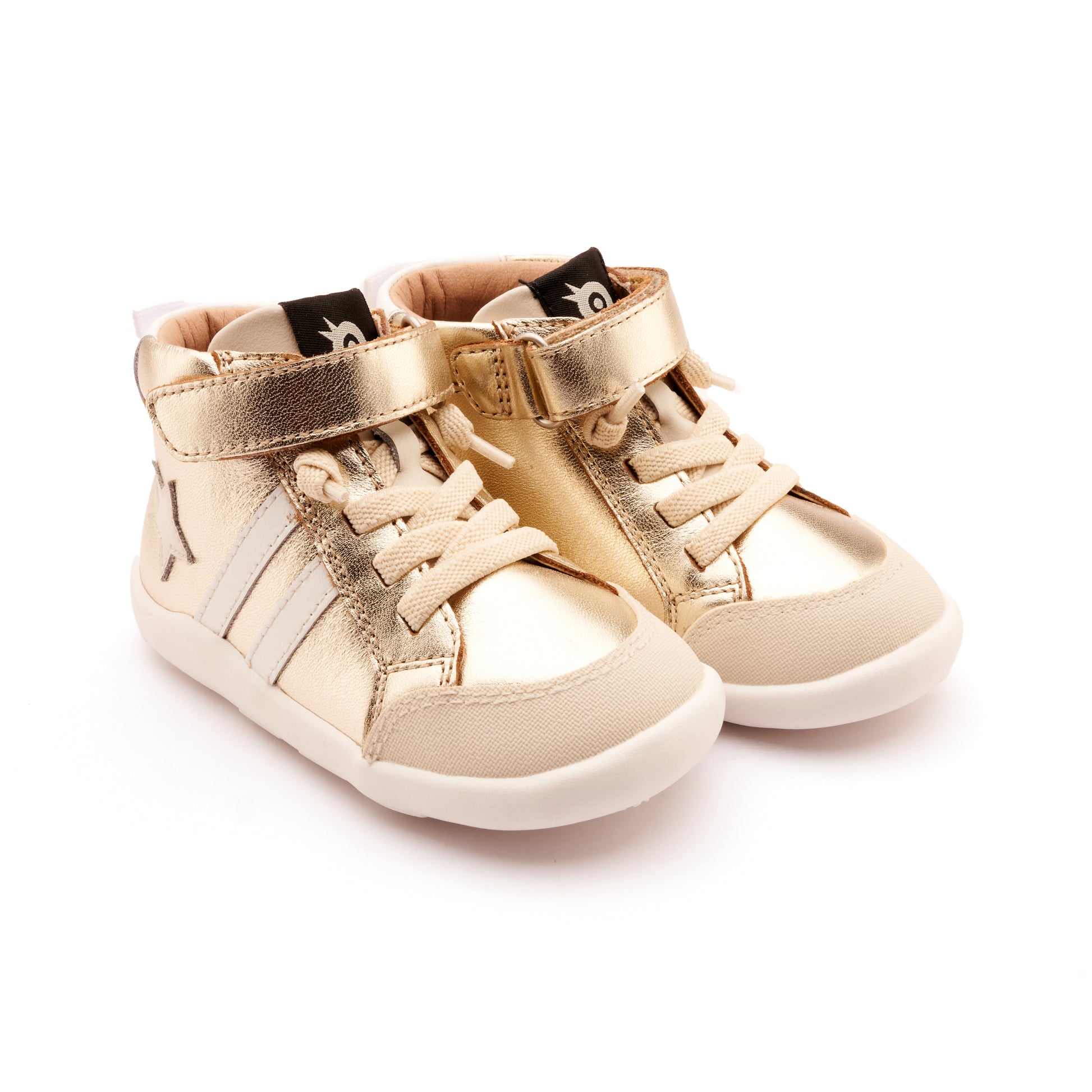 GOLDSPORCOSNOW